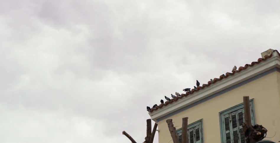 Birds perching on a rooftop