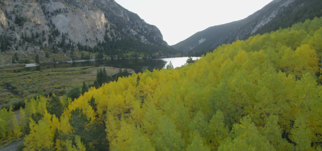 A forest next to a lake in a valley between mountains