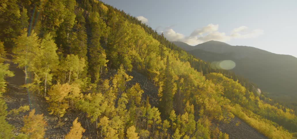 Trees with autumn leaves on the mountain slope while the sun goes down