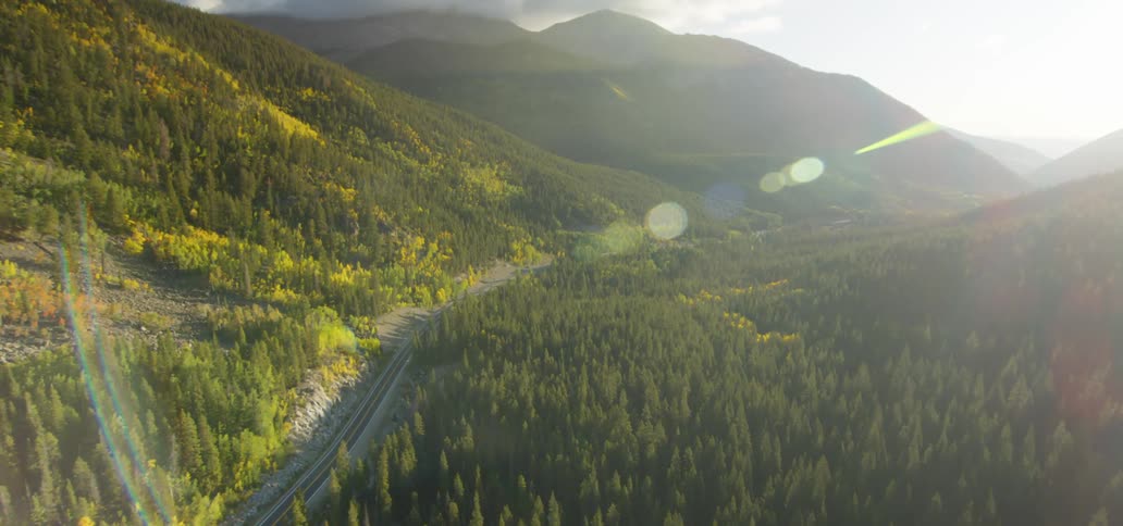 A road surrounded by a forest and mountains