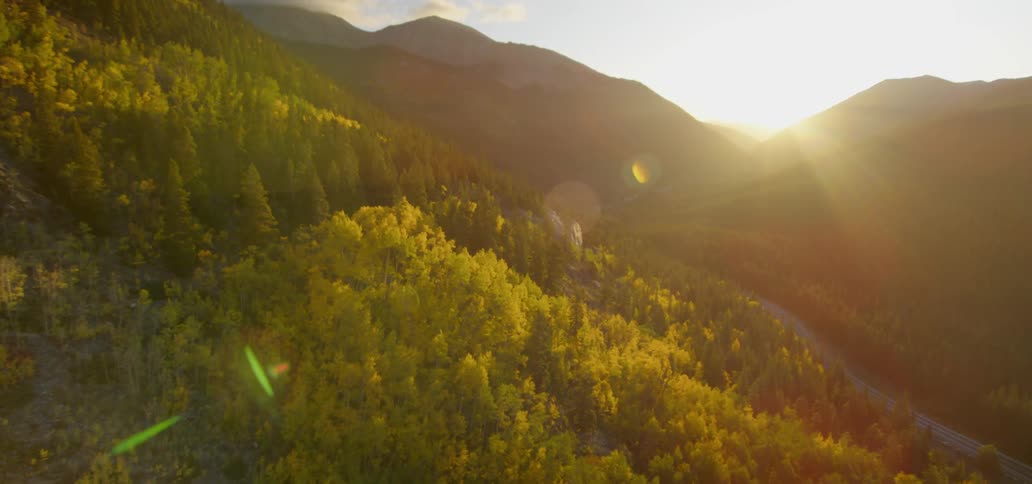 Large green forest beside mountain tops