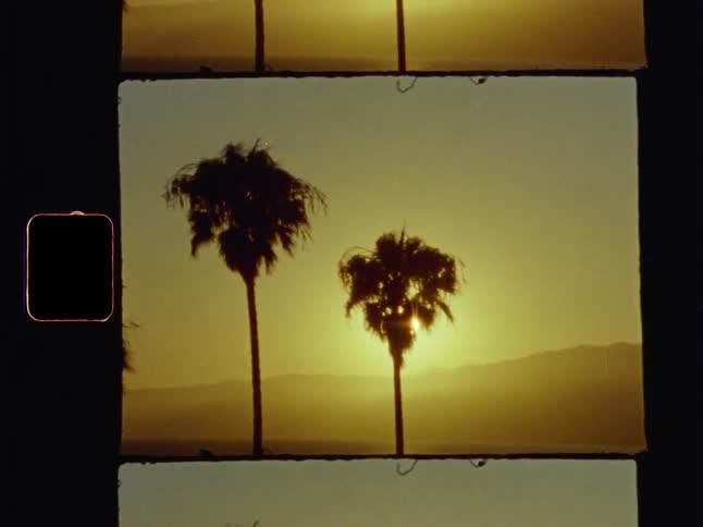 The sun sets behind silhouetted palm trees on the horizon