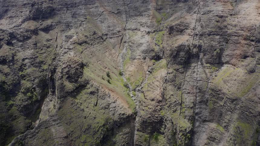 Scanning up a moss covered mountain