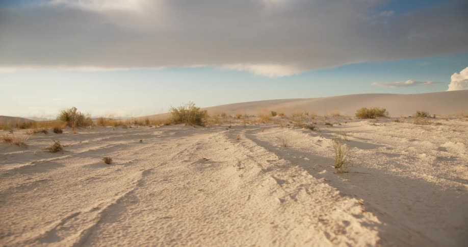 Sand and plants cover a desert landscape on a cloudy day