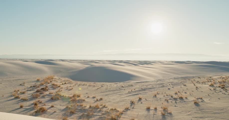 Desert with sand dunes and shrubs