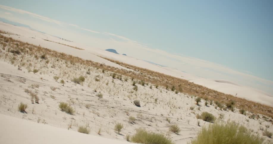 Clumps of grass cover a sandy desert landscape
