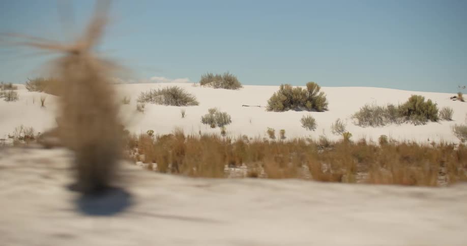 Desert dunes covered in bushes at midday