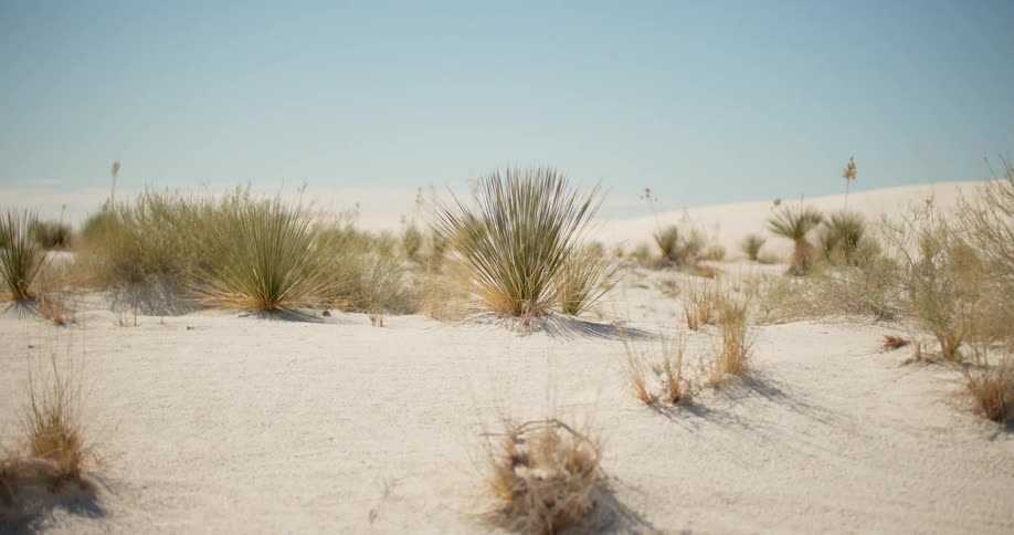 Twisting view of desert with clear sky