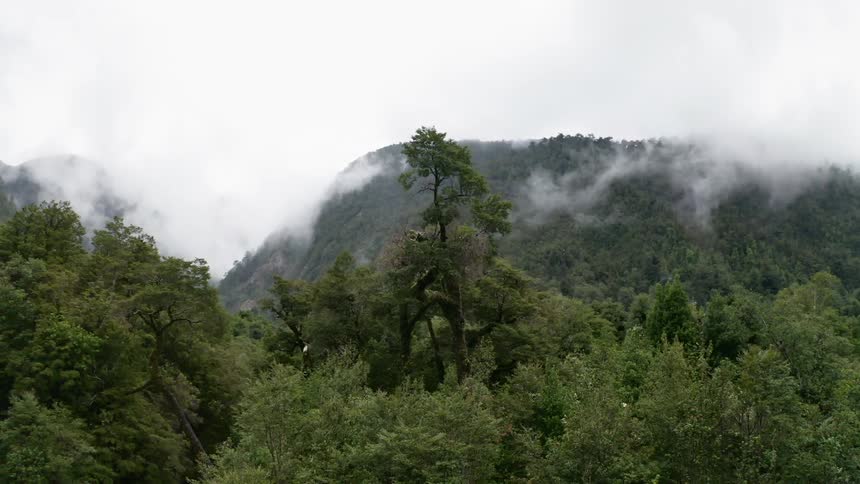 Clouds hang over and cover part of tree covered hills and ridges