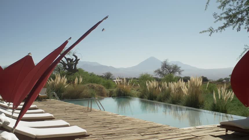 A bird flies over an outdoor pool and loungers on a wood deck