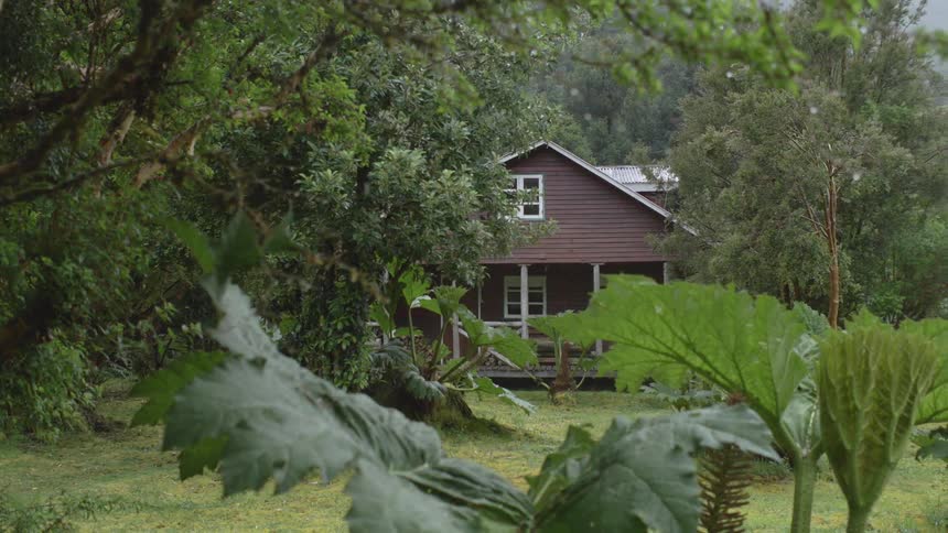 Rain falls around a rural house surrounded by trees