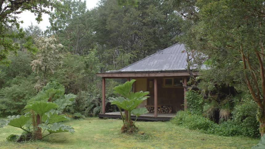 A small building in the forest