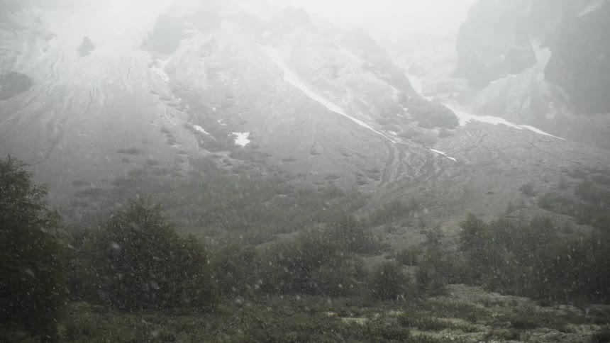 Snow falling on a tree lined mountain