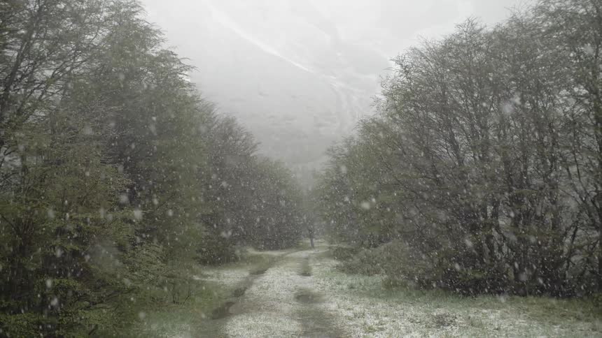 Snowflakes falling from the sky