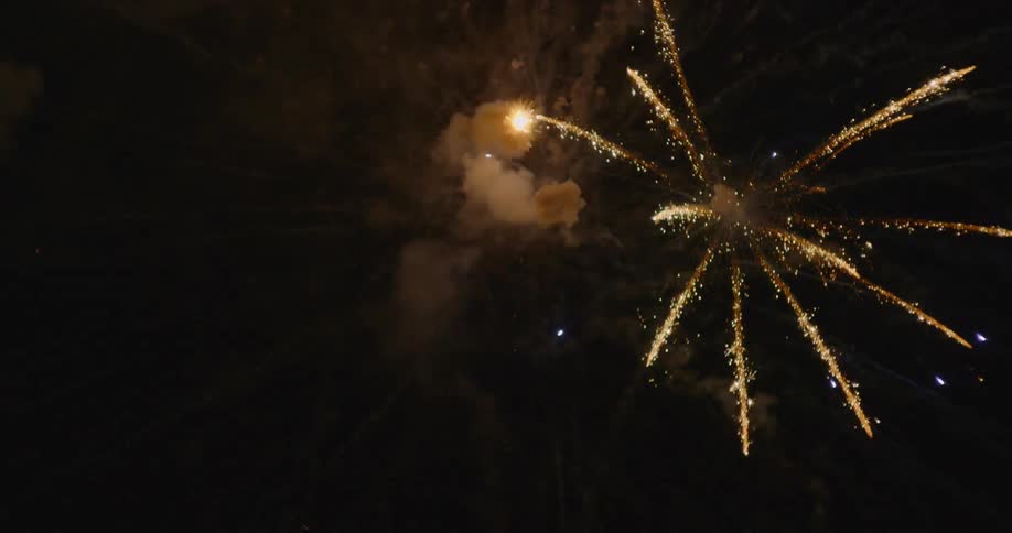 Fireworks explode in a dark night sky
