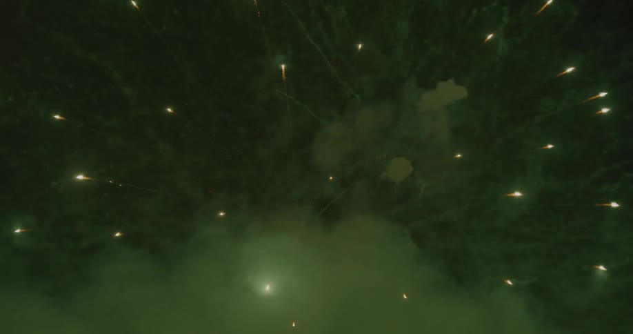 Fireworks explode in the night sky