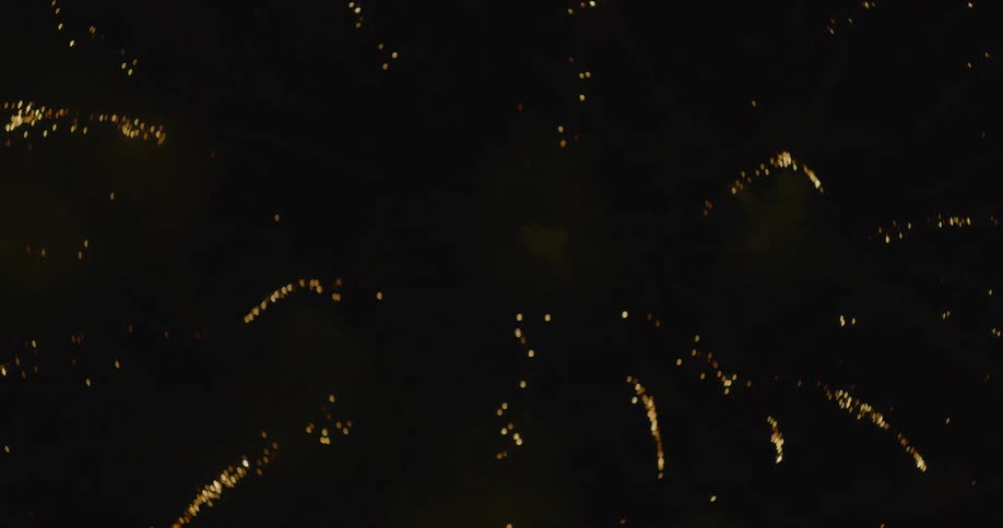 Fireworks explode in the dark night sky