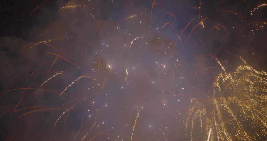 Fireworks light up a night sky