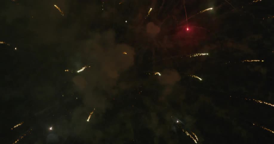 Fireworks exploding in the night sky
