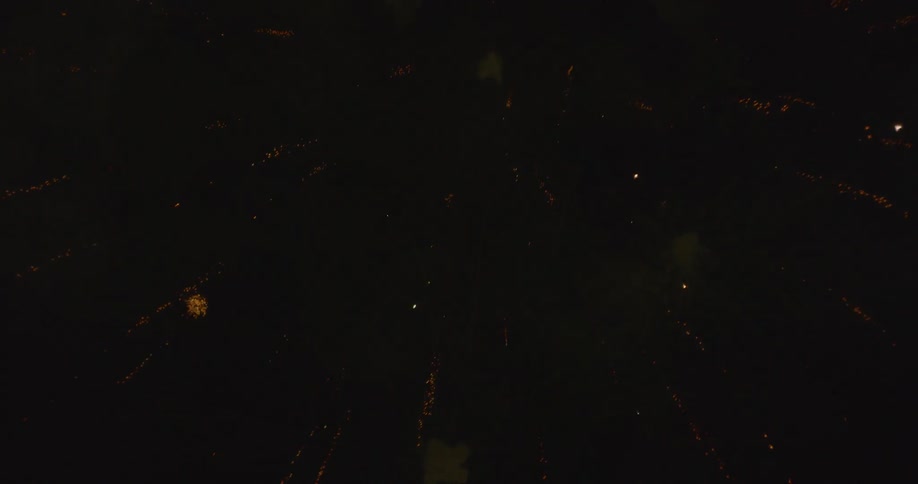 Fireworks explode in the dark night sky