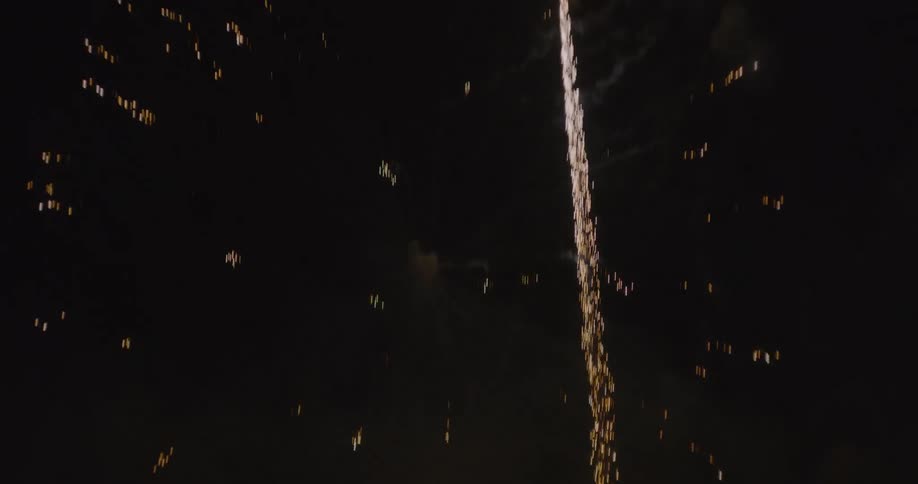 Fireworks bursting into the night sky