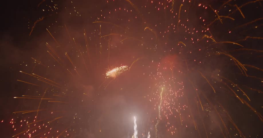 Fireworks explode in the dark night sky