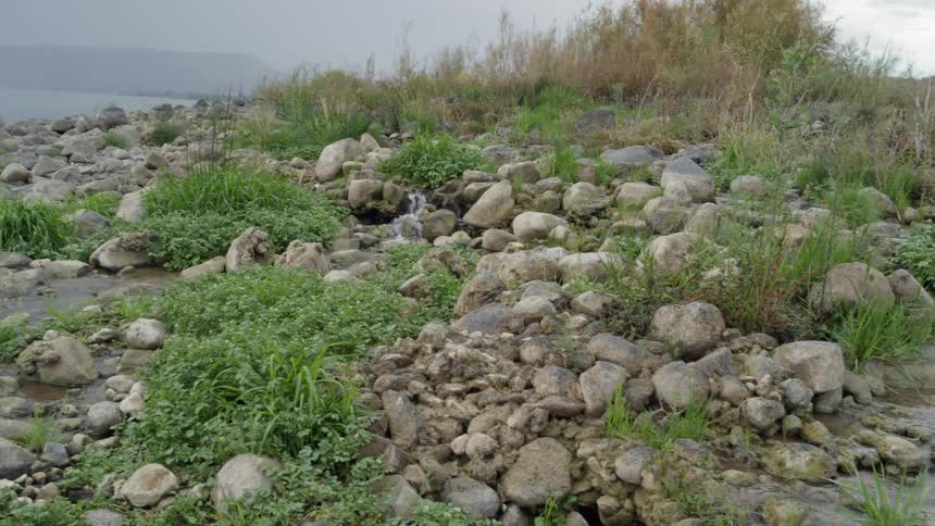 Water trickles between rocks in a stream