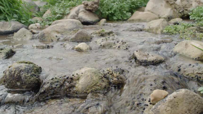 Water trickling between rocks in a stream