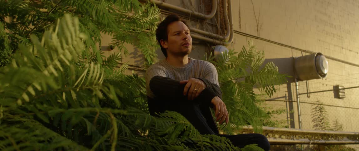 A man sits on a bleacher seat against a wall next to fern plants blowing in the wind