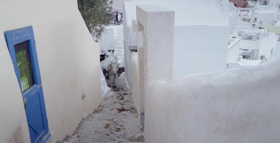 Two donkeys climbing a narrow alley between white buildings