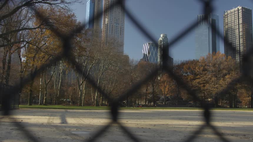 Skyscrapers and trees are seen through a chain link fence
