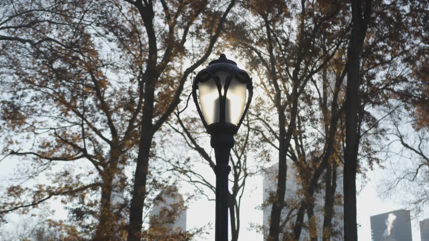 The camera looks at a light post in front of trees and the city skyline