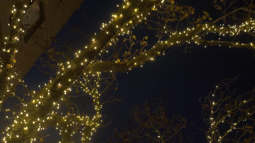 Camera moves under a tree covered in lights