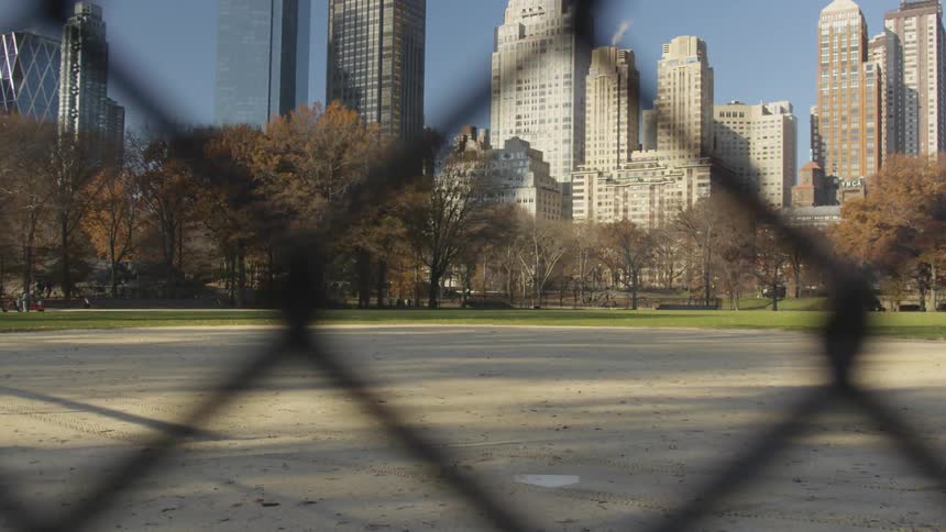 Skyscrapers and trees are seen through a chain link fence in a city