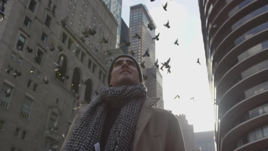 A man watches the sky as many birds fly