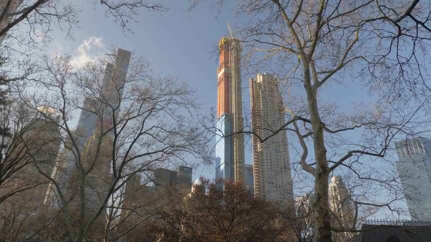Skyscrapers peek through the trees