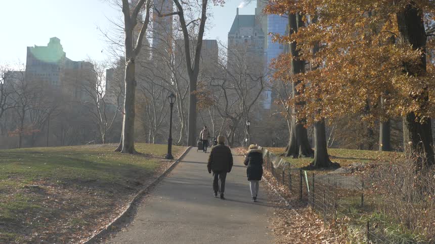 People wearing coats walk on a path in a park heading toward city buildings