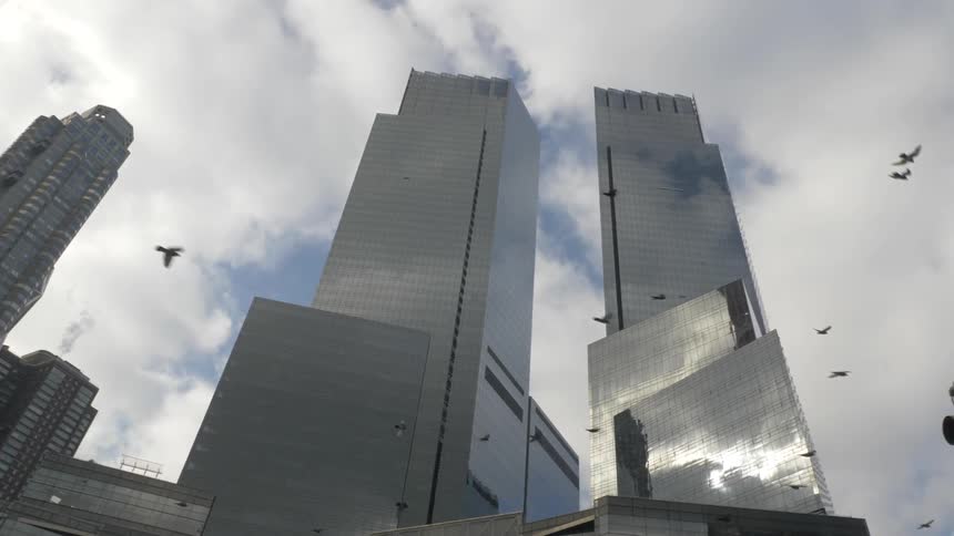 A flock of birds flies past twin city towers
