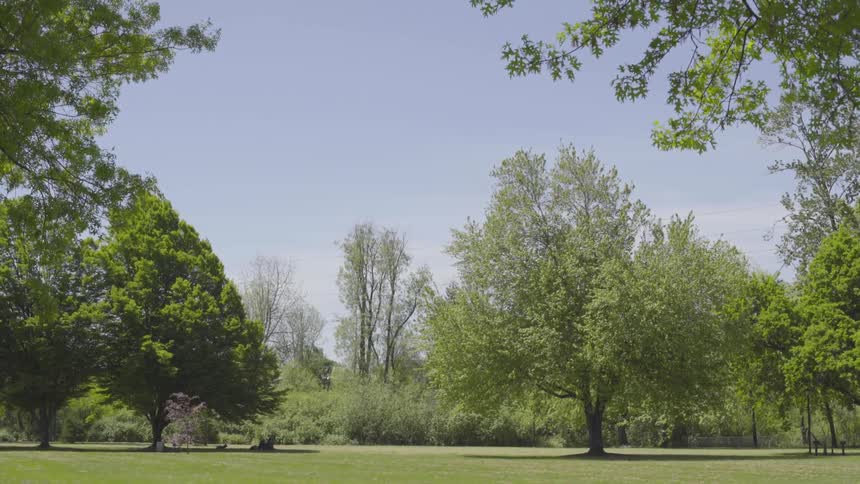 Park with green grass and trees