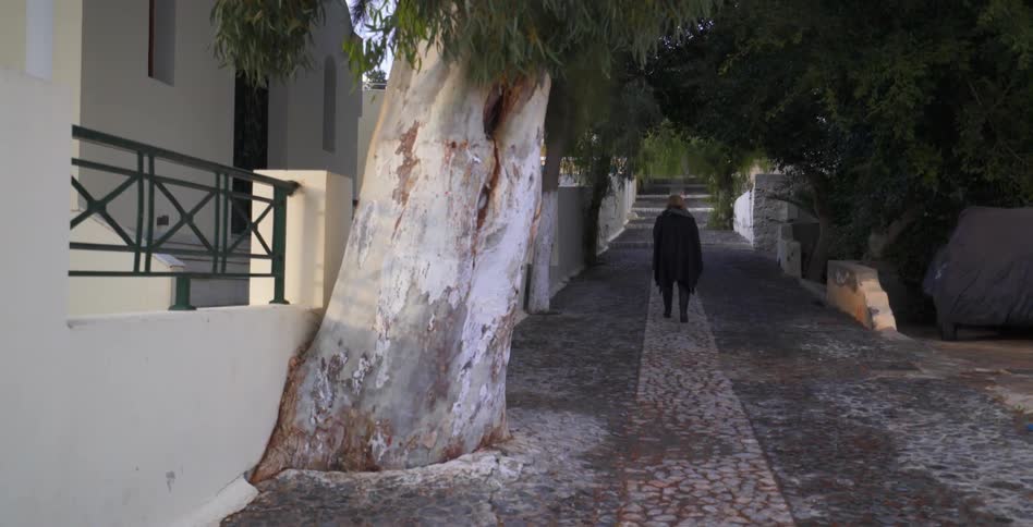 A person is walking down a cobblestone walkway under trees