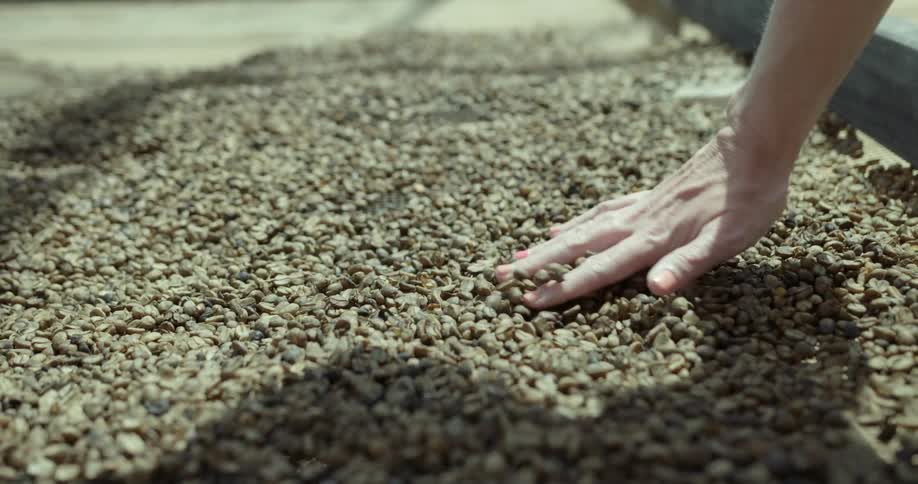 A person running their hand over rocks