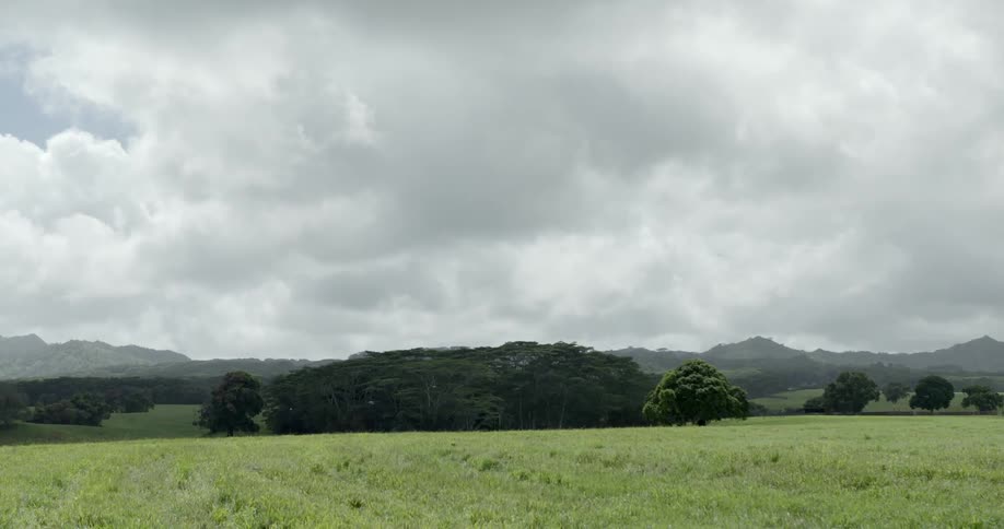 Clouds over a field