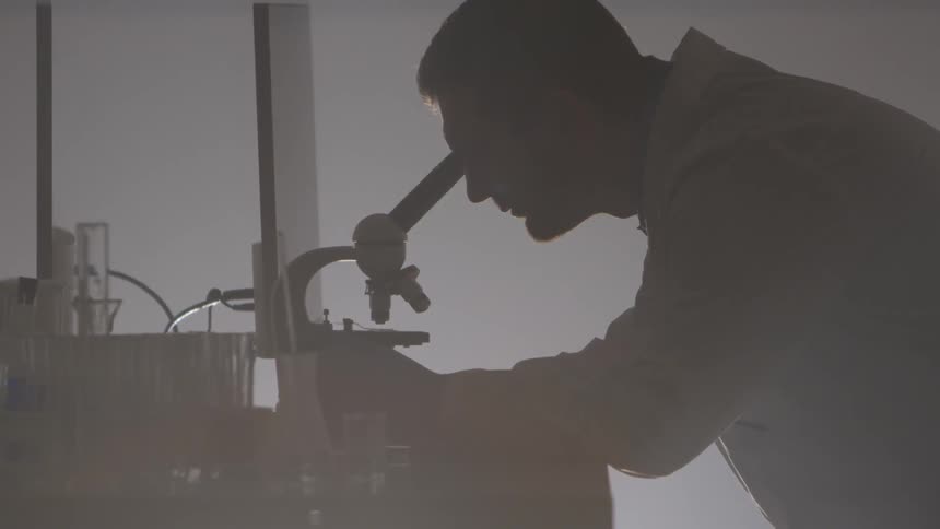 A scientist looks through the microscope
