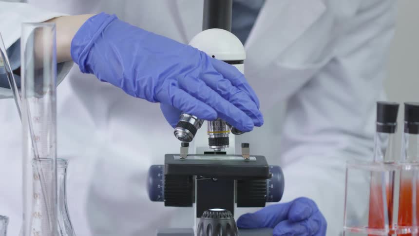 A gloved lab technician adjusting a microscope
