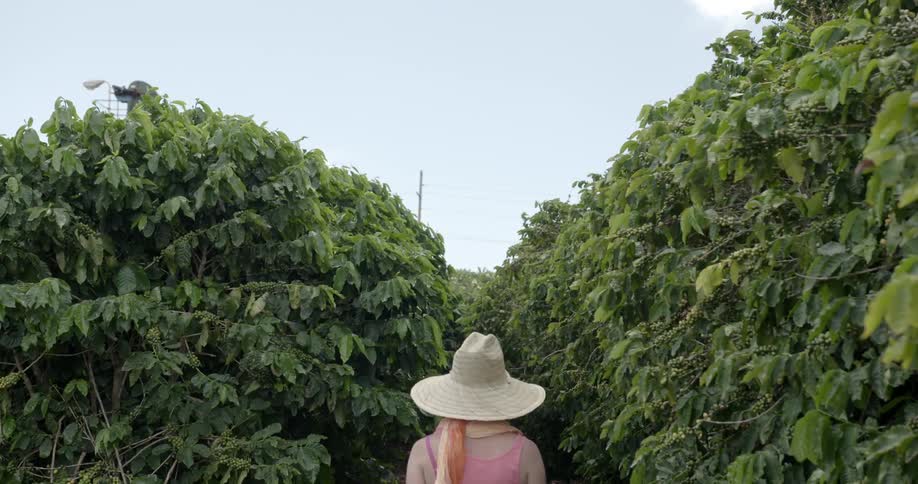 A woman wearing a gardening hat walks along a field of plants