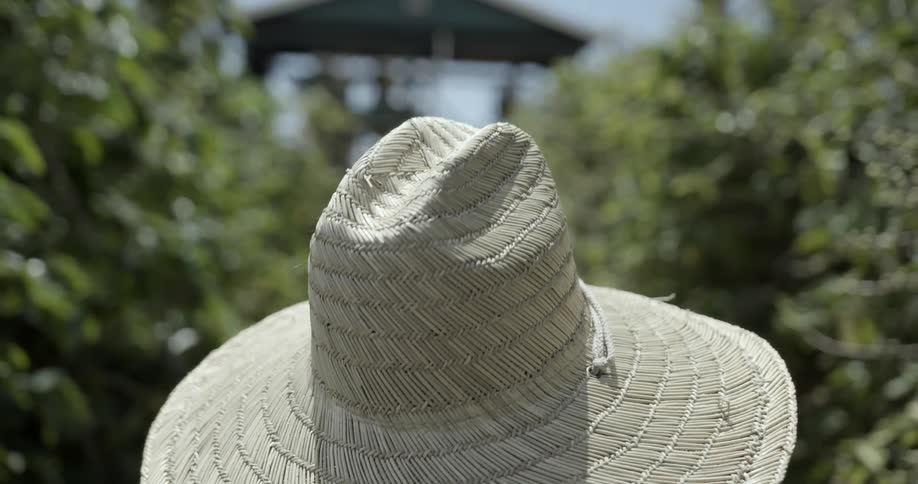 View of a person's hat as they walk on a path through bushes