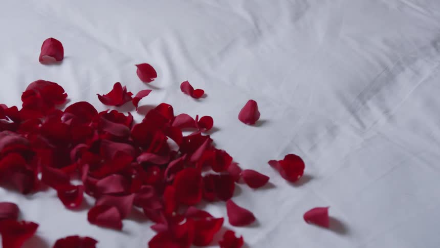 Rose petals get thrown onto a white sheet