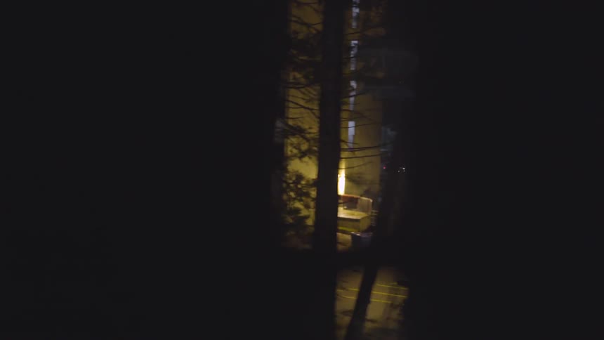 Apartment complex in a the woods