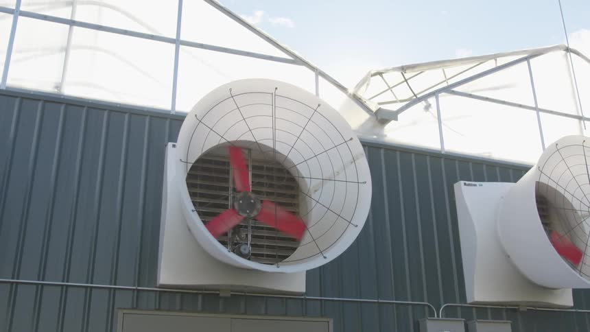 Red fans rotating at the side of greenhouses