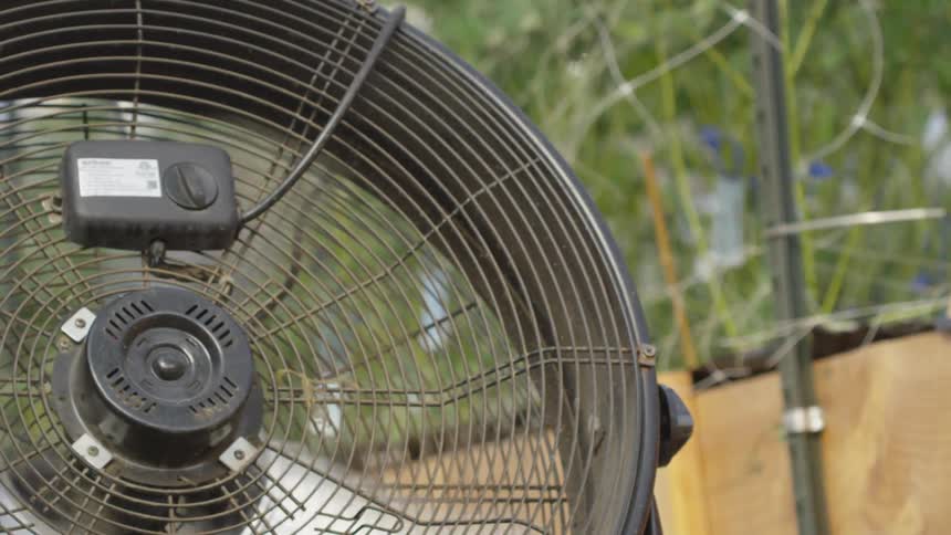 A fan blows air outside